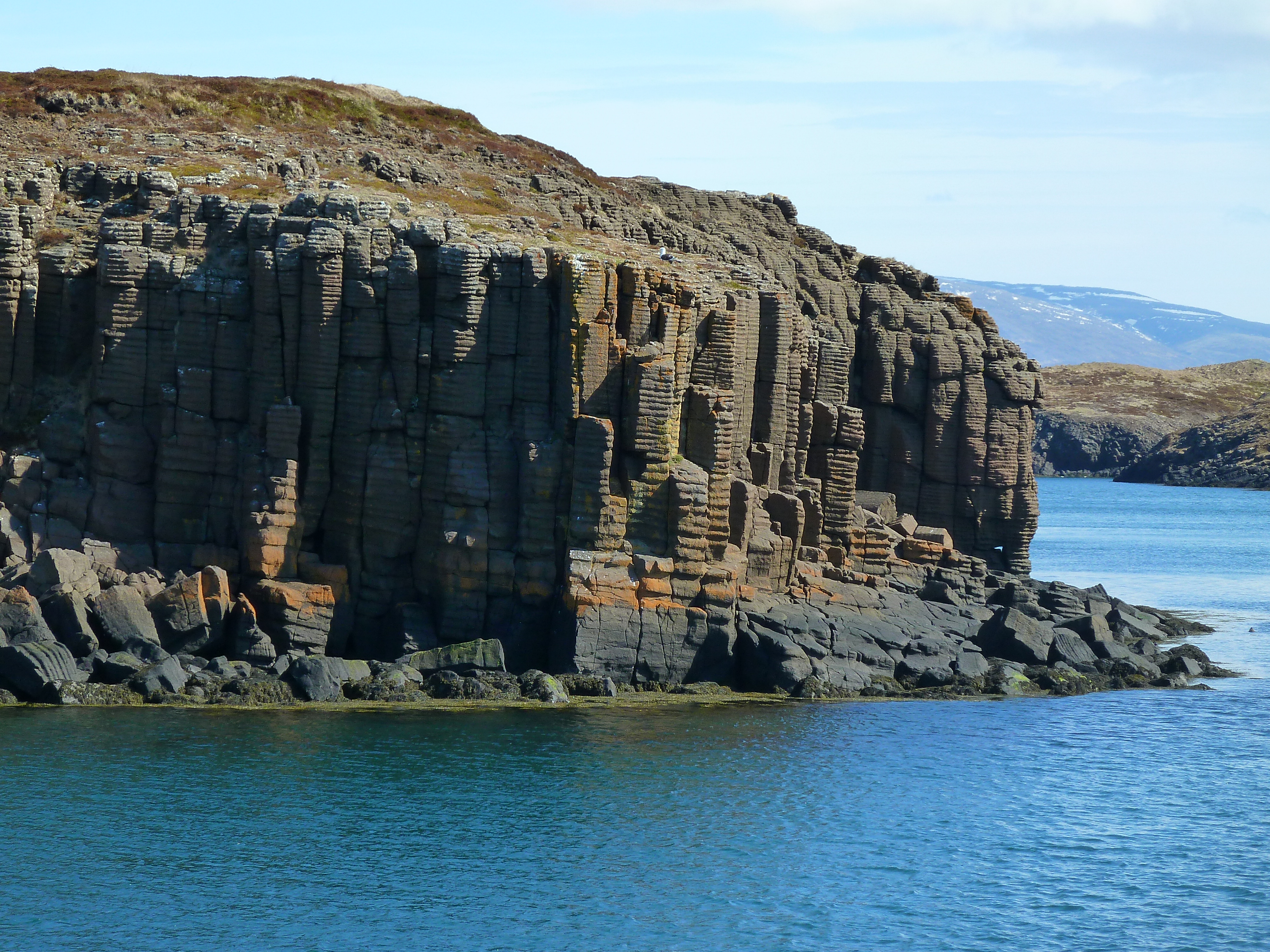course_image